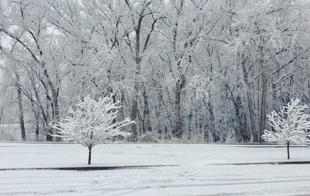 Winter